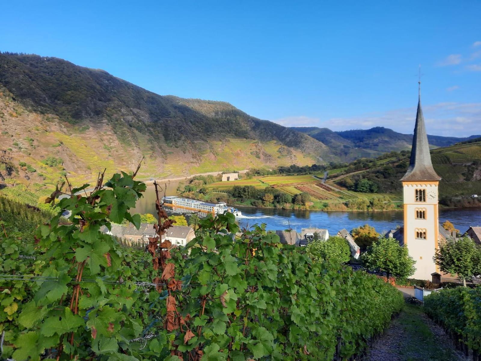 Апартаменти Winzerhaus Schenk Neef Екстер'єр фото